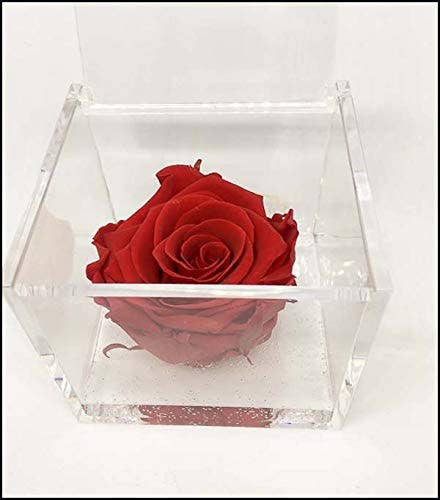 PREMIUM ROSE - Ewige Rose in Plexiglaswürfel 8cm