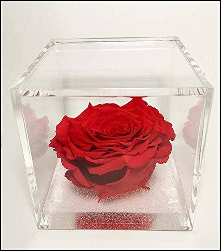 PREMIUM ROSE - Ewige Rose in Plexiglaswürfel 12cm